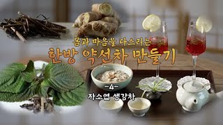 한방 약선차 만들기 EP. 4 ::: 자소엽 생강차