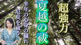 【夏越の祓】半年間の心身の穢れと厄災を祓います