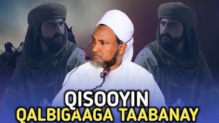 QISOOYIN QALBIGAAGA TAABANAY 2025 || SH XUSEEN CALI JABUTI