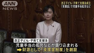 2026年度から「支援金」徴収 改正子ども・子育て支援法が成立(2024年6月5日)