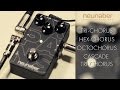 Neunaber Expanse Chorus Update: Tri-Chorus, Hex-Chorus, OctoChorus, Tri-Chorus Cascade