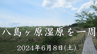 八島ヶ原湿原を一周－2024年6月8日(土)