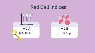 NP Learning - Overview of Anemias with SMNP Reviews ❤️