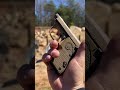 Beretta 32 Tomcat FPV