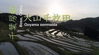 ドローン動画で見る！大山千枚田（関東一の棚田）