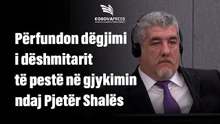 Përfundon dëgjimi i dëshmitarit të pestë në gjykimin ndaj Pjetër Shalës