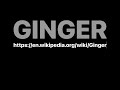 GINGER | Zingiber officinale