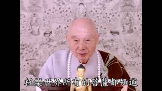 淨土大經科註 （第四回）339（粵語配音）｜淨空老和尚主講