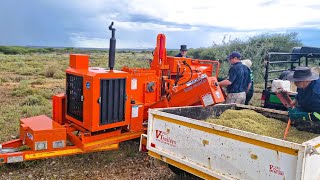 Bos Tot Kos: Chipping Swarthaak in the Northern Cape with a TOMCAT Model 150 AFE Screen Wood Chipper