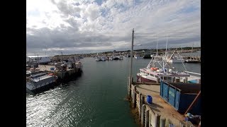 Boat Docking At Pinkney's Point Wharf