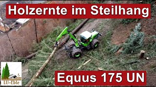 Holzernte im extremen Steilhang | Equus 175 UN | Rodung | Schwarzwald