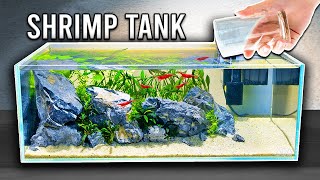 Beautiful & Easy Planted Tank For Shrimp (Step by Step)