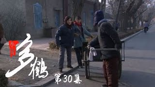 小姨多鹤 30 | Auntie Duohe 30 (主演：孙俪 姜武 闫学晶)