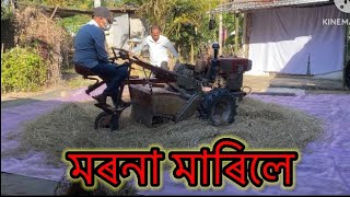 আজি আমাৰ মৰনা মাৰিছে#assam#lakhipur#asamesevlog#dhankheti#