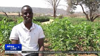 Chinese-owned silkworm farm boosts Zambian community's economy