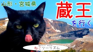 【猫と旅行】蔵王の山旅は晴天【山形・宮城】