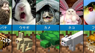 実生活で最もおかしなMinecraftの動物「比較」