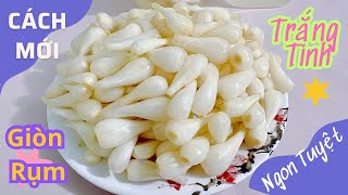 Bí Quyết Ngâm Kiệu Kiểu Mới Không Phèn Chua Trắng Tinh Giòn Rụm Để Được Hai Năm || MNQN