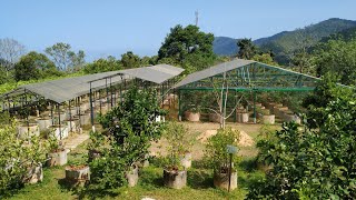 Penang Tropical Fruit Farm - one of the best