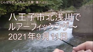 【じんぱちフィッシング ＃6】八王子市北浅川でルアーフィッシング　　釣果は0匹でしたが、、、北浅川の景色と川の流れる音で癒されてください。。。