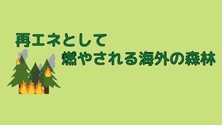 再生可能エネルギーとして日本で燃やされる海外の森林問題　バイオマスチャンネル