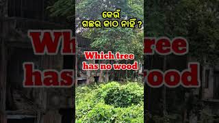 କେଉଁ ଗଛର କାଠ ନାହିଁ #odiatoenglish #shotrs #ytshort