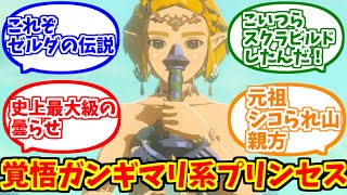 ゼルダ姫(ティアキン版)が心の底から好きな人達の反応集【ゼルダの伝説】【リンク】【龍の泪】