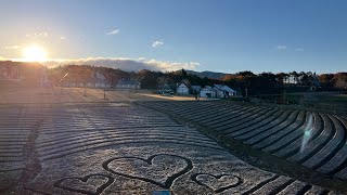 2024.11.19牧歌の里の天気【晴れ】霜が降りた朝☀️いちちゃんは元気いっぱい🐂おしくらまんじゅうのモルちゃんズ🐹