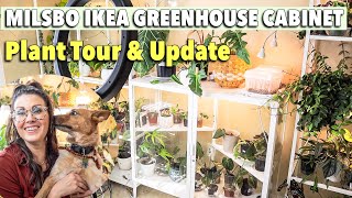 IKEA Greenhouse Cabinet Milsbo Plant Tour, Review \u0026 Update