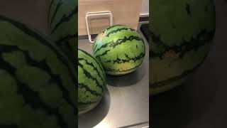 熊本玉名にある無人販売の500円スイカ🍉が3個も帰ってきました。🥲✨🎉🎂チャンネル登録待っているぜ🌟🤑👍🔥