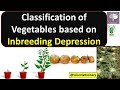 Classification of vegetables based on Inbreeding Depression/Inbreeding #horticulture