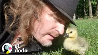 Chico le enseña a su gansito rescatado como volar | Almas Gemelas | El Dodo