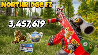 Playing with New Skin of TO3 & New Knife Holiday edge Northridge Fz | Arena breakout S6