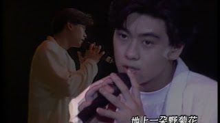 野菊花  林志颖 92年 今年夏天 演唱会版[超清版]  Jimmy Lin - Wild Chrysanthemum