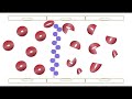 Thrombotic Thrombocytopenic Purpura (TTP) Part 1: Basics