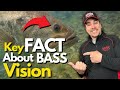 Knowing This About Bass Vision Will Change How You Fish