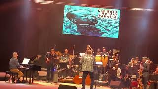 Bola de Nieva Tribute Concert, Stephen Anderson, Piano - Festival Internacional Jazz Plaza de Cuba