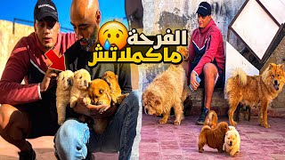 متخيلوش شحال ولدات ليا 🥳 ولكن الفرحة مكملاتش 🥹🤷🏻‍♂️