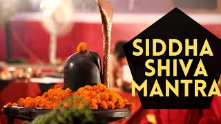 Siddha Shiva Mantra - Meditative - Trance - Story - Rudra - Creation - Destruction - Contemplation