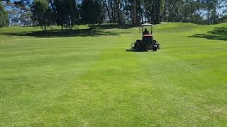 Baroness LM551 Fairway mower cutting after a Toro has cut at the same height a few hours earlier.