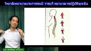 การบาดเจ็บไขสันหลัง Neurogenic Shock ต่างจาก Spinal Shock อย่างไร