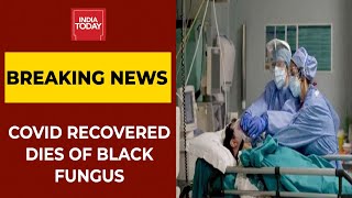 Covid Recovered Patient Dies Of Black Fungus Infection In Assam | Breaking News