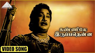 கண்ணிலே இருப்பதென்ன HD Video Song | அம்பிகாபதி | சிவாஜி கணேசன் | பானுமதி | ராமநாதன்