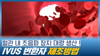 혈관 초음파 장치 IVUS 변환자 생산 공정 단순화 기술 개발 (혈관 촬영술, 혈관 내 초음파 검사, IVUS 영상)