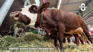 Un salon de l'agriculture \