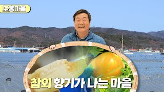 新우문현답 | 385회. 고진감래 | 경북 성주군 선남면 도흥3리 (KBS 2024.03.20. 수 방송)