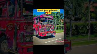 දකුණේ ඉන්න ලස්සන්ම කෙනා කවුද😱❤️‍🔥#1m#viralshort#trendingshort#automobile#funny