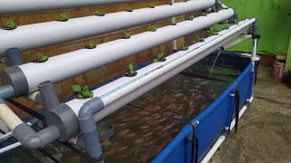 DIY : How to make Simple RAS system Tilapia Ponds || Aquaponic System (part 2)