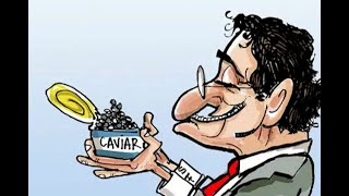 Noti Cartón: El Camino de los Excesos