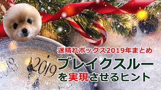 【迷ボ2019まとめ】ブレイクスルーを実現させるヒント